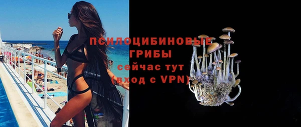 не бодяженный Слюдянка