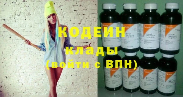 дурь Арсеньев
