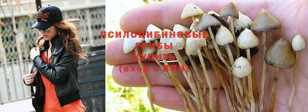 дурь Арсеньев