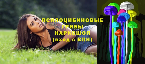 дурь Арсеньев
