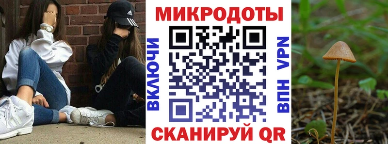 купить наркоту  Инсар  Псилоцибиновые грибы GOLDEN TEACHER 